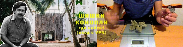спиды Пестово