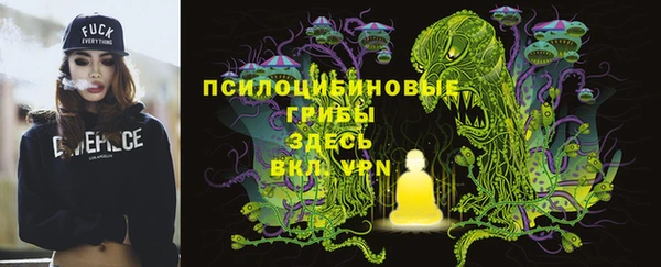 таблы Пересвет