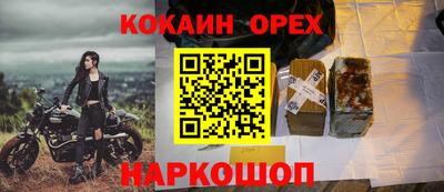 ГАЛЛЮЦИНОГЕННЫЕ ГРИБЫ Можга
